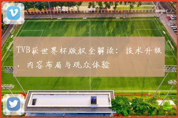 TVB获世界杯版权全解读：技术升级、内容布局与观众体验