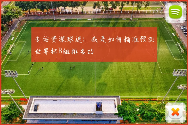 专访资深球迷:我是如何精准预测世界杯B组排名的
