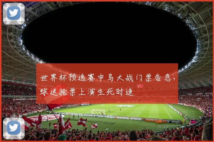 世界杯预选赛中乌大战门票告急,球迷抢票上演生死时速