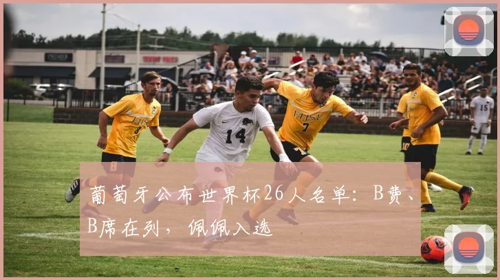 葡萄牙公布世界杯26人名单：B费、B席在列，佩佩入选