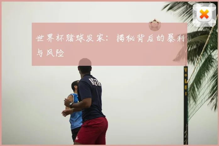 世界杯赌球发家：揭秘背后的暴利与风险