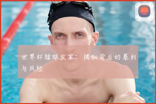 世界杯赌球发家：揭秘背后的暴利与风险