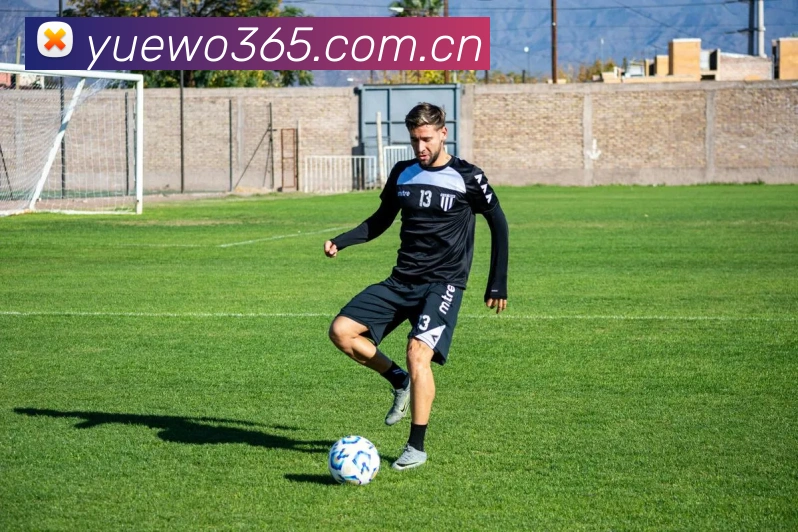 hth网页版在线登录入口平台生态图