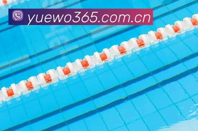 hth网页版在线登录入口APP 封面图